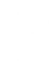 Logo Setur
