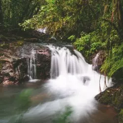 Cachoeira das Flores - Foto 2