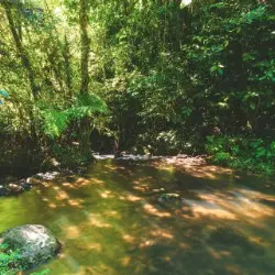Cachoeira de Cedro - Foto 2