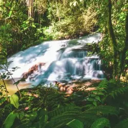 Cachoeira de Cedro - Foto 4